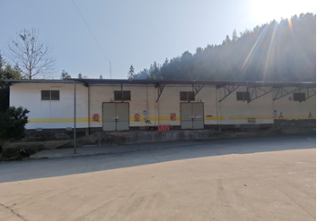 1711439247139198.jpg 1711439250655.jpg