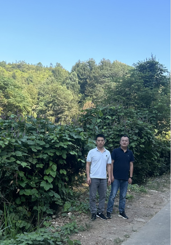 1728872095177897.jpg 1728872053272.jpg