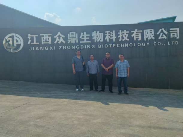 1734929367152784.jpg 1734929332811.jpg