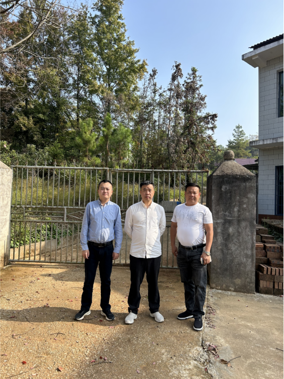 1734941171135371.jpg 1734941136878.jpg